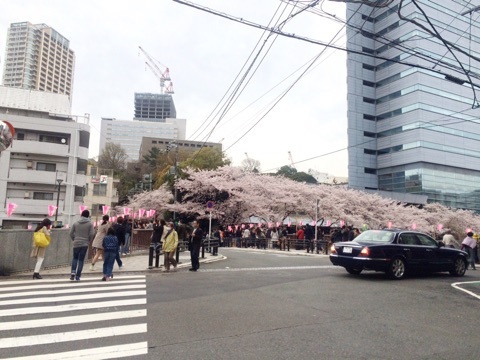 目黒川の桜祭り