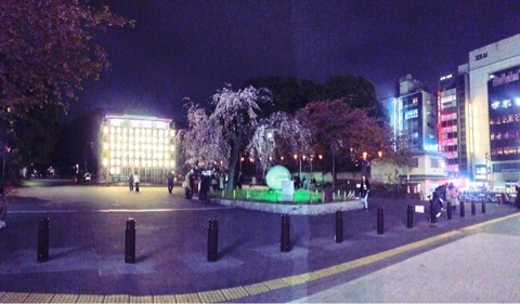 上野公園のお花見桜の様子