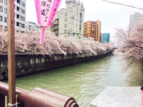 目黒川の桜祭り