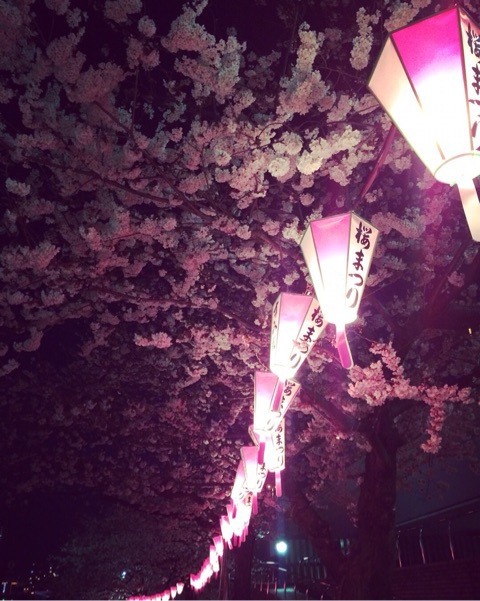 隅田川沿いの夜桜2018